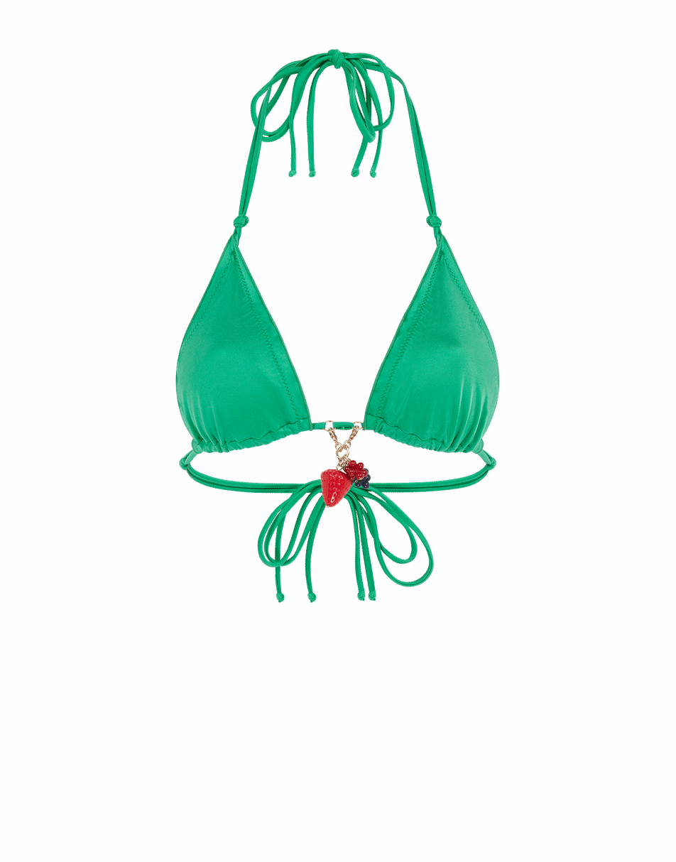 Berry Bikini Top